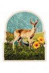 Retro Collage - Whitetail Deer - Contour