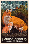 Pagosa Springs, Colorado - Fox & Kit - Letterpress