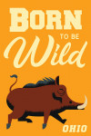 Ohio - Geometric - Hog - Born to be Wild