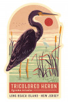Long Beach Island, New Jersey - Shorebirds at Sunset Collection - Tricolored Heron - Contour
