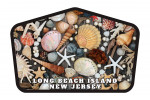 Long Beach Island, New Jersey - Photography - Colorful Collection of Seashells, Driftwood, Pebbles, & Starfish - Contour