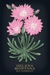 Helena, Montana - Vintage Flora Noir - Bitterroot