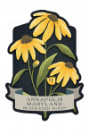 Annapolis, Maryland - Vintage Flora Noir - Black-Eyed Susan - Contour