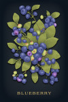 Vintage Flora Noir - Blueberry