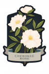 Vintage Flora Noir - Cherokee Rose - Contour