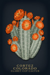 Cortez, Colorado - Vintage Flora Noir - Claret Cup Cactus