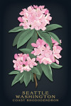 Seattle, Washington - Vintage Flora Noir - Coast Rhododendron