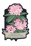 Seattle, Washington - Vintage Flora Noir - Coast Rhododendron - Contour