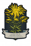 Lincoln, Nebraska - Vintage Flora Noir - Giant Goldenrod - Contour