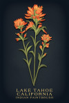 Lake Tahoe, California - Vintage Flora Noir - Indian Paintbrush