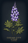 Cedar City, Utah - Vintage Flora Noir - Lupine