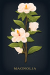 Vintage Flora Noir - Magnolia