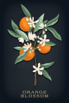 Vintage Flora Noir - Orange Blossom