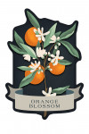 Vintage Flora Noir - Orange Blossom - Contour