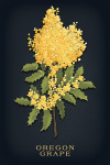 Vintage Flora Noir - Oregon Grape