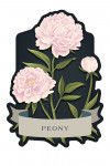 Vintage Flora Noir - Peony - Contour