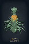 Maui, Hawai'i - Vintage Flora Noir - Pineapple