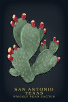 San Antonio, Texas - Vintage Flora Noir - Prickly Pear