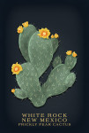 White Rock, New Mexico - Vintage Flora Noir - Prickly Pear Cacus - Yellow