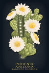 Phoenix, Arizona - Vintage Flora Noir - Saguaro Blossom