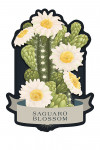 Vintage Flora Noir - Saguaro Blossom - Contour