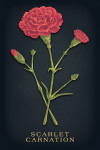 Vintage Flora Noir - Scarlet Carnation