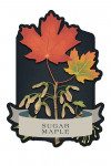 Vintage Flora Noir - Sugar Maple - Contour