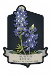 Austin, Texas - Vintage Flora Noir - Texas Bluebonnet - Contour