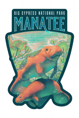 Big Cypress National Park, Florida - Fluid Linework - Manatee - Contour
