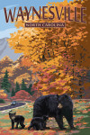 Waynesville, North Carolina - Bear Family & Fall Colors