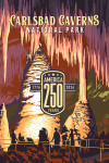 Carlsbad Caverns National Park, New Mexico - Painterly Collection 250