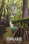 Congaree National Park, South Carolina - Painterly Collection 250