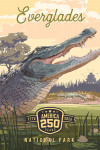 Everglades National Park, Florida - Painterly Collection 250