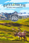 Gates of the Arctic National Park and Preserve, Alaska - Painterly Collection 250