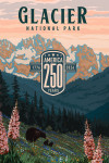 Glacier National Park, Montana - Painterly Collection 250