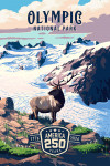 Olympic National Park, Washington - Painterly Collection 250