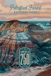 Petrified Forest National Park, Arizona - Painterly Collection 250