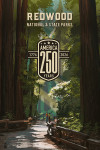 Redwood National and State Parks, California - Painterly Collection 250