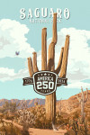 Saguaro National Park, Arizona - Painterly Collection 250