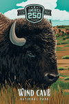 Wind Cave National Park, South Dakota - Painterly Collection 250