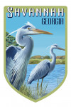 Savannah, Georgia - Blue Heron - Contour