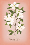 Savannah, Georgia - Vintage Flora - Dogwood
