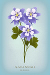 Savannah, Georgia - Vintage Flora - Rocky Mountain Columbine