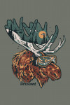 Vermont - Ski Moose