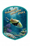 Maui, Hawai'i - Painterly - Humuhumunukunukuapua'a - Contour