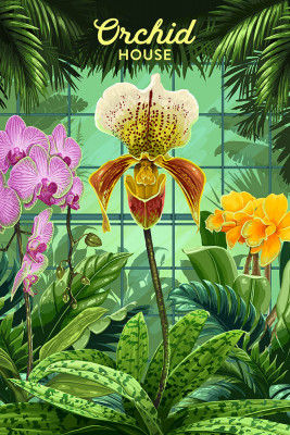 Painterly - Orchid House