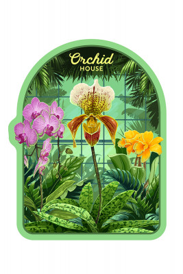 Painterly - Orchid House - Contour