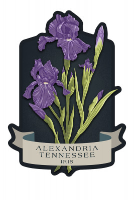 Alexandria, Tennessee - Vintage Flora Noir - Iris - Contour