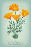 Julian, California - Vintage Flora - State Series - California Poppy