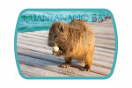 Guantanamo Bay, Cuba - Photography - Banana Rat - Contour